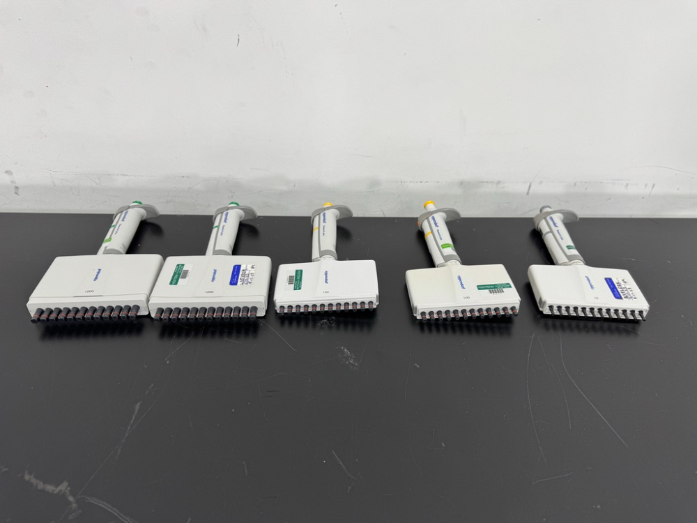 Image of Eppendorf Research Plus Multichannel Pipettes